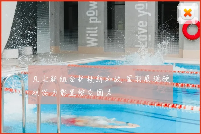 凡尘新组合折桂新加坡 国羽展现硬核实力彰显综合国力