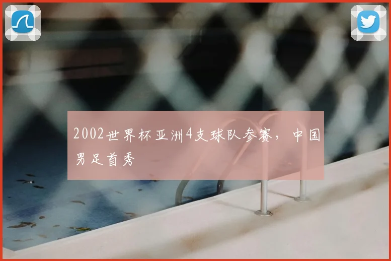 2002世界杯亚洲4支球队参赛,中国男足首秀
