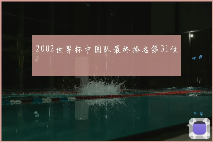 2002世界杯中国队最终排名第31位