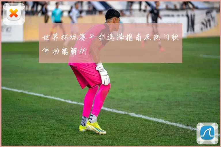 世界杯观赛平台选择指南及热门软件功能解析