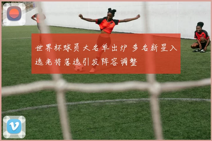 世界杯球员大名单出炉 多名新星入选老将落选引发阵容调整